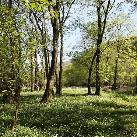 Отель The Mary Mount Долина Борроудейл